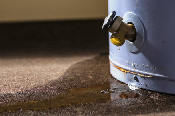 Best Water damage cleanup near me  in Loughman, FL