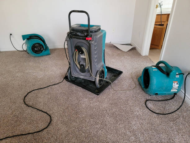 Best Carpet water damage restoration  in Loughman, FL