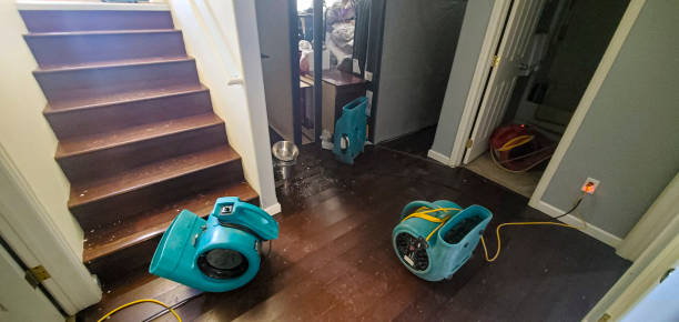 Best Flood restoration services  in Loughman, FL