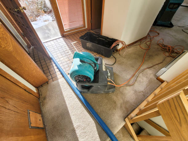 Best Emergency water damage restoration  in Loughman, FL