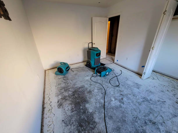 , FL Water damage restoration Company