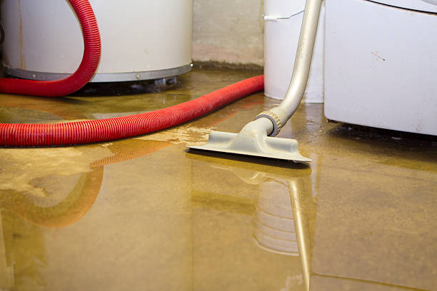 Best Ceiling water damage repair  in Loughman, FL