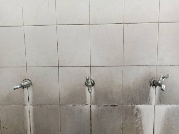 Best Water damage mitigation services  in Loughman, FL