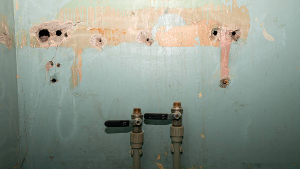 Best Residential water damage restoration  in Loughman, FL