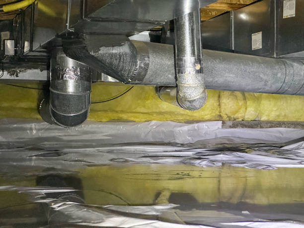 Best Water damage restoration insurance claims  in Loughman, FL