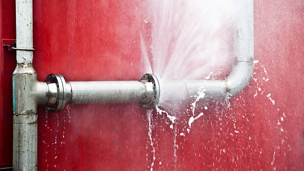 Best Mold removal after water damage  in Loughman, FL
