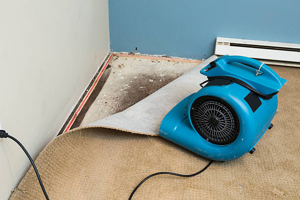 Best Fire Damage Restoration  in Loughman, FL